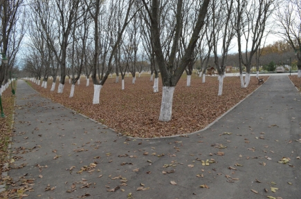 Parcul dendrologic